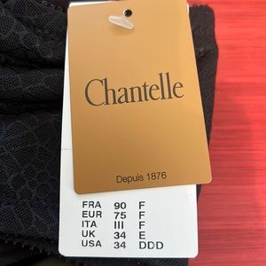 TWO Chantelle bras—NWT. 34DDD / 34F one in black and the other, hot pink